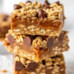 Salted Caramel Chocolate Chip Oat Cookie Bars